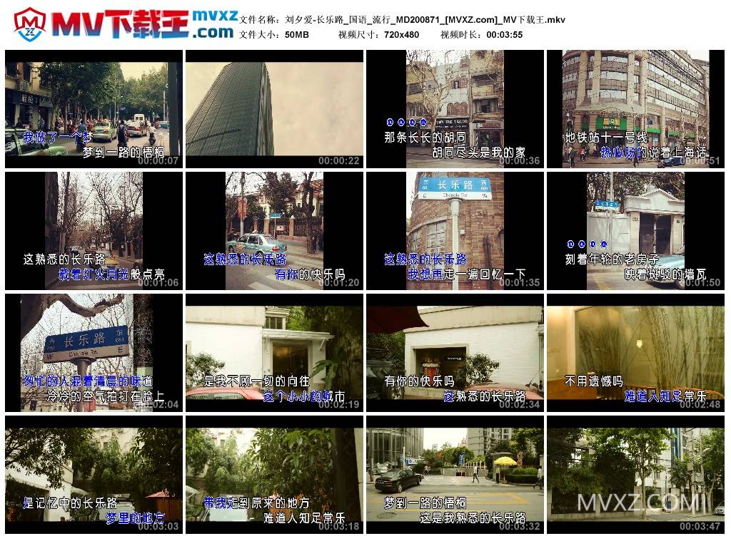 刘夕爱-长乐路_国语_流行_MD200871